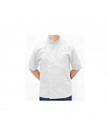 Bluza kucharska Biała - krótki rękaw